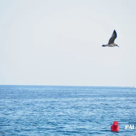 àtic Espectacular A Palamós